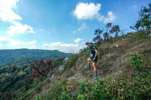 BIB: 
                            <button type="button" onclick="openModal(28096541)" class="btn btn-primary btn-sm float-right btn-popup" data-toggle="modal" data-target=".modal-high-quality">
                        <i class="fas fa-shopping-cart"></i> Add to Cart
                    </button>
                                            <button type="button" onclick="isThisMe(28096541, true)" class="btn btn-success btn-sm float-right btn-popup btn-isme hidden" data-toggle="tooltip" data-placement="bottom" title="นี่คือรูปของคุณใช่ไหม คลิกที่นี่เพื่อเอาเข้าอัลบั้ม">
                        <i class="fas fa-plus"></i> Add to album
                    </button>
                    <button type="button" onclick="isThisMe(28096541, false)" class="btn btn-warning btn-sm float-right btn-popup btn-isnotme hidden">
                        <i class="fas fa-ban"></i> Remove from album
                    </button>