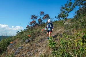 BIB: 
                            <button type="button" onclick="openModal(28096687)" class="btn btn-primary btn-sm float-right btn-popup" data-toggle="modal" data-target=".modal-high-quality">
                        <i class="fas fa-shopping-cart"></i> Add to Cart
                    </button>
                                            <button type="button" onclick="isThisMe(28096687, true)" class="btn btn-success btn-sm float-right btn-popup btn-isme hidden" data-toggle="tooltip" data-placement="bottom" title="นี่คือรูปของคุณใช่ไหม คลิกที่นี่เพื่อเอาเข้าอัลบั้ม">
                        <i class="fas fa-plus"></i> Add to album
                    </button>
                    <button type="button" onclick="isThisMe(28096687, false)" class="btn btn-warning btn-sm float-right btn-popup btn-isnotme hidden">
                        <i class="fas fa-ban"></i> Remove from album
                    </button>