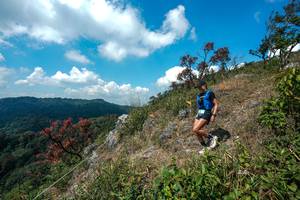 BIB: 
                            <button type="button" onclick="openModal(28095974)" class="btn btn-primary btn-sm float-right btn-popup" data-toggle="modal" data-target=".modal-high-quality">
                        <i class="fas fa-shopping-cart"></i> Add to Cart
                    </button>
                                            <button type="button" onclick="isThisMe(28095974, true)" class="btn btn-success btn-sm float-right btn-popup btn-isme hidden" data-toggle="tooltip" data-placement="bottom" title="นี่คือรูปของคุณใช่ไหม คลิกที่นี่เพื่อเอาเข้าอัลบั้ม">
                        <i class="fas fa-plus"></i> Add to album
                    </button>
                    <button type="button" onclick="isThisMe(28095974, false)" class="btn btn-warning btn-sm float-right btn-popup btn-isnotme hidden">
                        <i class="fas fa-ban"></i> Remove from album
                    </button>