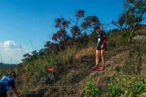 BIB: 
                            <button type="button" onclick="openModal(28099081)" class="btn btn-primary btn-sm float-right btn-popup" data-toggle="modal" data-target=".modal-high-quality">
                        <i class="fas fa-shopping-cart"></i> Add to Cart
                    </button>
                                            <button type="button" onclick="isThisMe(28099081, true)" class="btn btn-success btn-sm float-right btn-popup btn-isme hidden" data-toggle="tooltip" data-placement="bottom" title="นี่คือรูปของคุณใช่ไหม คลิกที่นี่เพื่อเอาเข้าอัลบั้ม">
                        <i class="fas fa-plus"></i> Add to album
                    </button>
                    <button type="button" onclick="isThisMe(28099081, false)" class="btn btn-warning btn-sm float-right btn-popup btn-isnotme hidden">
                        <i class="fas fa-ban"></i> Remove from album
                    </button>