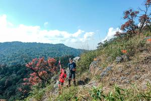 BIB: 
                            <button type="button" onclick="openModal(28097067)" class="btn btn-primary btn-sm float-right btn-popup" data-toggle="modal" data-target=".modal-high-quality">
                        <i class="fas fa-shopping-cart"></i> Add to Cart
                    </button>
                                            <button type="button" onclick="isThisMe(28097067, true)" class="btn btn-success btn-sm float-right btn-popup btn-isme hidden" data-toggle="tooltip" data-placement="bottom" title="นี่คือรูปของคุณใช่ไหม คลิกที่นี่เพื่อเอาเข้าอัลบั้ม">
                        <i class="fas fa-plus"></i> Add to album
                    </button>
                    <button type="button" onclick="isThisMe(28097067, false)" class="btn btn-warning btn-sm float-right btn-popup btn-isnotme hidden">
                        <i class="fas fa-ban"></i> Remove from album
                    </button>