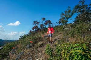 BIB: 
                            <button type="button" onclick="openModal(28097666)" class="btn btn-primary btn-sm float-right btn-popup" data-toggle="modal" data-target=".modal-high-quality">
                        <i class="fas fa-shopping-cart"></i> Add to Cart
                    </button>
                                            <button type="button" onclick="isThisMe(28097666, true)" class="btn btn-success btn-sm float-right btn-popup btn-isme hidden" data-toggle="tooltip" data-placement="bottom" title="นี่คือรูปของคุณใช่ไหม คลิกที่นี่เพื่อเอาเข้าอัลบั้ม">
                        <i class="fas fa-plus"></i> Add to album
                    </button>
                    <button type="button" onclick="isThisMe(28097666, false)" class="btn btn-warning btn-sm float-right btn-popup btn-isnotme hidden">
                        <i class="fas fa-ban"></i> Remove from album
                    </button>