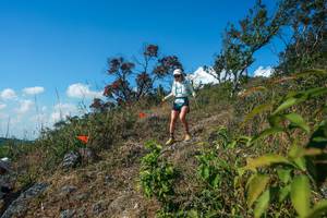 BIB: 
                            <button type="button" onclick="openModal(28097289)" class="btn btn-primary btn-sm float-right btn-popup" data-toggle="modal" data-target=".modal-high-quality">
                        <i class="fas fa-shopping-cart"></i> Add to Cart
                    </button>
                                            <button type="button" onclick="isThisMe(28097289, true)" class="btn btn-success btn-sm float-right btn-popup btn-isme hidden" data-toggle="tooltip" data-placement="bottom" title="นี่คือรูปของคุณใช่ไหม คลิกที่นี่เพื่อเอาเข้าอัลบั้ม">
                        <i class="fas fa-plus"></i> Add to album
                    </button>
                    <button type="button" onclick="isThisMe(28097289, false)" class="btn btn-warning btn-sm float-right btn-popup btn-isnotme hidden">
                        <i class="fas fa-ban"></i> Remove from album
                    </button>