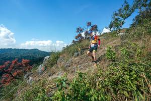 BIB: 
                            <button type="button" onclick="openModal(28096342)" class="btn btn-primary btn-sm float-right btn-popup" data-toggle="modal" data-target=".modal-high-quality">
                        <i class="fas fa-shopping-cart"></i> Add to Cart
                    </button>
                                            <button type="button" onclick="isThisMe(28096342, true)" class="btn btn-success btn-sm float-right btn-popup btn-isme hidden" data-toggle="tooltip" data-placement="bottom" title="นี่คือรูปของคุณใช่ไหม คลิกที่นี่เพื่อเอาเข้าอัลบั้ม">
                        <i class="fas fa-plus"></i> Add to album
                    </button>
                    <button type="button" onclick="isThisMe(28096342, false)" class="btn btn-warning btn-sm float-right btn-popup btn-isnotme hidden">
                        <i class="fas fa-ban"></i> Remove from album
                    </button>