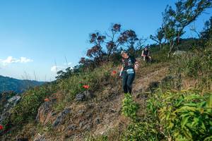 BIB: 
                            <button type="button" onclick="openModal(28098382)" class="btn btn-primary btn-sm float-right btn-popup" data-toggle="modal" data-target=".modal-high-quality">
                        <i class="fas fa-shopping-cart"></i> Add to Cart
                    </button>
                                            <button type="button" onclick="isThisMe(28098382, true)" class="btn btn-success btn-sm float-right btn-popup btn-isme hidden" data-toggle="tooltip" data-placement="bottom" title="นี่คือรูปของคุณใช่ไหม คลิกที่นี่เพื่อเอาเข้าอัลบั้ม">
                        <i class="fas fa-plus"></i> Add to album
                    </button>
                    <button type="button" onclick="isThisMe(28098382, false)" class="btn btn-warning btn-sm float-right btn-popup btn-isnotme hidden">
                        <i class="fas fa-ban"></i> Remove from album
                    </button>