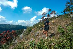 BIB: 
                            <button type="button" onclick="openModal(28096150)" class="btn btn-primary btn-sm float-right btn-popup" data-toggle="modal" data-target=".modal-high-quality">
                        <i class="fas fa-shopping-cart"></i> Add to Cart
                    </button>
                                            <button type="button" onclick="isThisMe(28096150, true)" class="btn btn-success btn-sm float-right btn-popup btn-isme hidden" data-toggle="tooltip" data-placement="bottom" title="นี่คือรูปของคุณใช่ไหม คลิกที่นี่เพื่อเอาเข้าอัลบั้ม">
                        <i class="fas fa-plus"></i> Add to album
                    </button>
                    <button type="button" onclick="isThisMe(28096150, false)" class="btn btn-warning btn-sm float-right btn-popup btn-isnotme hidden">
                        <i class="fas fa-ban"></i> Remove from album
                    </button>