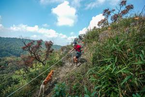 BIB: 
                            <button type="button" onclick="openModal(28095914)" class="btn btn-primary btn-sm float-right btn-popup" data-toggle="modal" data-target=".modal-high-quality">
                        <i class="fas fa-shopping-cart"></i> Add to Cart
                    </button>
                                            <button type="button" onclick="isThisMe(28095914, true)" class="btn btn-success btn-sm float-right btn-popup btn-isme hidden" data-toggle="tooltip" data-placement="bottom" title="นี่คือรูปของคุณใช่ไหม คลิกที่นี่เพื่อเอาเข้าอัลบั้ม">
                        <i class="fas fa-plus"></i> Add to album
                    </button>
                    <button type="button" onclick="isThisMe(28095914, false)" class="btn btn-warning btn-sm float-right btn-popup btn-isnotme hidden">
                        <i class="fas fa-ban"></i> Remove from album
                    </button>