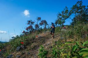 BIB: 
                            <button type="button" onclick="openModal(28098122)" class="btn btn-primary btn-sm float-right btn-popup" data-toggle="modal" data-target=".modal-high-quality">
                        <i class="fas fa-shopping-cart"></i> Add to Cart
                    </button>
                                            <button type="button" onclick="isThisMe(28098122, true)" class="btn btn-success btn-sm float-right btn-popup btn-isme hidden" data-toggle="tooltip" data-placement="bottom" title="นี่คือรูปของคุณใช่ไหม คลิกที่นี่เพื่อเอาเข้าอัลบั้ม">
                        <i class="fas fa-plus"></i> Add to album
                    </button>
                    <button type="button" onclick="isThisMe(28098122, false)" class="btn btn-warning btn-sm float-right btn-popup btn-isnotme hidden">
                        <i class="fas fa-ban"></i> Remove from album
                    </button>