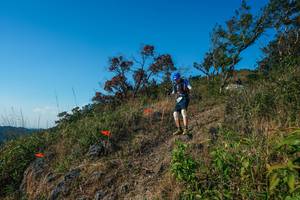 BIB: 
                            <button type="button" onclick="openModal(28098539)" class="btn btn-primary btn-sm float-right btn-popup" data-toggle="modal" data-target=".modal-high-quality">
                        <i class="fas fa-shopping-cart"></i> Add to Cart
                    </button>
                                            <button type="button" onclick="isThisMe(28098539, true)" class="btn btn-success btn-sm float-right btn-popup btn-isme hidden" data-toggle="tooltip" data-placement="bottom" title="นี่คือรูปของคุณใช่ไหม คลิกที่นี่เพื่อเอาเข้าอัลบั้ม">
                        <i class="fas fa-plus"></i> Add to album
                    </button>
                    <button type="button" onclick="isThisMe(28098539, false)" class="btn btn-warning btn-sm float-right btn-popup btn-isnotme hidden">
                        <i class="fas fa-ban"></i> Remove from album
                    </button>