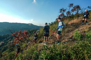 BIB: 
                            <button type="button" onclick="openModal(28099410)" class="btn btn-primary btn-sm float-right btn-popup" data-toggle="modal" data-target=".modal-high-quality">
                        <i class="fas fa-shopping-cart"></i> Add to Cart
                    </button>
                                            <button type="button" onclick="isThisMe(28099410, true)" class="btn btn-success btn-sm float-right btn-popup btn-isme hidden" data-toggle="tooltip" data-placement="bottom" title="นี่คือรูปของคุณใช่ไหม คลิกที่นี่เพื่อเอาเข้าอัลบั้ม">
                        <i class="fas fa-plus"></i> Add to album
                    </button>
                    <button type="button" onclick="isThisMe(28099410, false)" class="btn btn-warning btn-sm float-right btn-popup btn-isnotme hidden">
                        <i class="fas fa-ban"></i> Remove from album
                    </button>