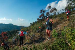 BIB: 
                            <button type="button" onclick="openModal(28099202)" class="btn btn-primary btn-sm float-right btn-popup" data-toggle="modal" data-target=".modal-high-quality">
                        <i class="fas fa-shopping-cart"></i> Add to Cart
                    </button>
                                            <button type="button" onclick="isThisMe(28099202, true)" class="btn btn-success btn-sm float-right btn-popup btn-isme hidden" data-toggle="tooltip" data-placement="bottom" title="นี่คือรูปของคุณใช่ไหม คลิกที่นี่เพื่อเอาเข้าอัลบั้ม">
                        <i class="fas fa-plus"></i> Add to album
                    </button>
                    <button type="button" onclick="isThisMe(28099202, false)" class="btn btn-warning btn-sm float-right btn-popup btn-isnotme hidden">
                        <i class="fas fa-ban"></i> Remove from album
                    </button>