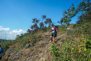 BIB: 
                            <button type="button" onclick="openModal(28096630)" class="btn btn-primary btn-sm float-right btn-popup" data-toggle="modal" data-target=".modal-high-quality">
                        <i class="fas fa-shopping-cart"></i> Add to Cart
                    </button>
                                            <button type="button" onclick="isThisMe(28096630, true)" class="btn btn-success btn-sm float-right btn-popup btn-isme hidden" data-toggle="tooltip" data-placement="bottom" title="นี่คือรูปของคุณใช่ไหม คลิกที่นี่เพื่อเอาเข้าอัลบั้ม">
                        <i class="fas fa-plus"></i> Add to album
                    </button>
                    <button type="button" onclick="isThisMe(28096630, false)" class="btn btn-warning btn-sm float-right btn-popup btn-isnotme hidden">
                        <i class="fas fa-ban"></i> Remove from album
                    </button>