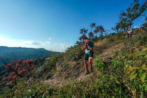 BIB: 
                            <button type="button" onclick="openModal(28098949)" class="btn btn-primary btn-sm float-right btn-popup" data-toggle="modal" data-target=".modal-high-quality">
                        <i class="fas fa-shopping-cart"></i> Add to Cart
                    </button>
                                            <button type="button" onclick="isThisMe(28098949, true)" class="btn btn-success btn-sm float-right btn-popup btn-isme hidden" data-toggle="tooltip" data-placement="bottom" title="นี่คือรูปของคุณใช่ไหม คลิกที่นี่เพื่อเอาเข้าอัลบั้ม">
                        <i class="fas fa-plus"></i> Add to album
                    </button>
                    <button type="button" onclick="isThisMe(28098949, false)" class="btn btn-warning btn-sm float-right btn-popup btn-isnotme hidden">
                        <i class="fas fa-ban"></i> Remove from album
                    </button>