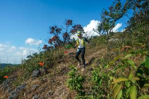 BIB: 
                            <button type="button" onclick="openModal(28097364)" class="btn btn-primary btn-sm float-right btn-popup" data-toggle="modal" data-target=".modal-high-quality">
                        <i class="fas fa-shopping-cart"></i> Add to Cart
                    </button>
                                            <button type="button" onclick="isThisMe(28097364, true)" class="btn btn-success btn-sm float-right btn-popup btn-isme hidden" data-toggle="tooltip" data-placement="bottom" title="นี่คือรูปของคุณใช่ไหม คลิกที่นี่เพื่อเอาเข้าอัลบั้ม">
                        <i class="fas fa-plus"></i> Add to album
                    </button>
                    <button type="button" onclick="isThisMe(28097364, false)" class="btn btn-warning btn-sm float-right btn-popup btn-isnotme hidden">
                        <i class="fas fa-ban"></i> Remove from album
                    </button>