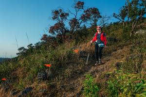 BIB: 
                            <button type="button" onclick="openModal(28099491)" class="btn btn-primary btn-sm float-right btn-popup" data-toggle="modal" data-target=".modal-high-quality">
                        <i class="fas fa-shopping-cart"></i> Add to Cart
                    </button>
                                            <button type="button" onclick="isThisMe(28099491, true)" class="btn btn-success btn-sm float-right btn-popup btn-isme hidden" data-toggle="tooltip" data-placement="bottom" title="นี่คือรูปของคุณใช่ไหม คลิกที่นี่เพื่อเอาเข้าอัลบั้ม">
                        <i class="fas fa-plus"></i> Add to album
                    </button>
                    <button type="button" onclick="isThisMe(28099491, false)" class="btn btn-warning btn-sm float-right btn-popup btn-isnotme hidden">
                        <i class="fas fa-ban"></i> Remove from album
                    </button>