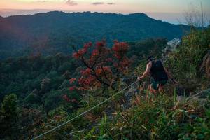 BIB: 
                            <button type="button" onclick="openModal(28099780)" class="btn btn-primary btn-sm float-right btn-popup" data-toggle="modal" data-target=".modal-high-quality">
                        <i class="fas fa-shopping-cart"></i> Add to Cart
                    </button>
                                            <button type="button" onclick="isThisMe(28099780, true)" class="btn btn-success btn-sm float-right btn-popup btn-isme hidden" data-toggle="tooltip" data-placement="bottom" title="นี่คือรูปของคุณใช่ไหม คลิกที่นี่เพื่อเอาเข้าอัลบั้ม">
                        <i class="fas fa-plus"></i> Add to album
                    </button>
                    <button type="button" onclick="isThisMe(28099780, false)" class="btn btn-warning btn-sm float-right btn-popup btn-isnotme hidden">
                        <i class="fas fa-ban"></i> Remove from album
                    </button>