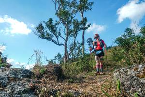 BIB: 
                            <button type="button" onclick="openModal(28097960)" class="btn btn-primary btn-sm float-right btn-popup" data-toggle="modal" data-target=".modal-high-quality">
                        <i class="fas fa-shopping-cart"></i> Add to Cart
                    </button>
                                            <button type="button" onclick="isThisMe(28097960, true)" class="btn btn-success btn-sm float-right btn-popup btn-isme hidden" data-toggle="tooltip" data-placement="bottom" title="นี่คือรูปของคุณใช่ไหม คลิกที่นี่เพื่อเอาเข้าอัลบั้ม">
                        <i class="fas fa-plus"></i> Add to album
                    </button>
                    <button type="button" onclick="isThisMe(28097960, false)" class="btn btn-warning btn-sm float-right btn-popup btn-isnotme hidden">
                        <i class="fas fa-ban"></i> Remove from album
                    </button>