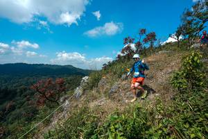 BIB: 
                            <button type="button" onclick="openModal(28095942)" class="btn btn-primary btn-sm float-right btn-popup" data-toggle="modal" data-target=".modal-high-quality">
                        <i class="fas fa-shopping-cart"></i> Add to Cart
                    </button>
                                            <button type="button" onclick="isThisMe(28095942, true)" class="btn btn-success btn-sm float-right btn-popup btn-isme hidden" data-toggle="tooltip" data-placement="bottom" title="นี่คือรูปของคุณใช่ไหม คลิกที่นี่เพื่อเอาเข้าอัลบั้ม">
                        <i class="fas fa-plus"></i> Add to album
                    </button>
                    <button type="button" onclick="isThisMe(28095942, false)" class="btn btn-warning btn-sm float-right btn-popup btn-isnotme hidden">
                        <i class="fas fa-ban"></i> Remove from album
                    </button>