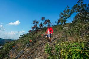 BIB: 
                            <button type="button" onclick="openModal(28097658)" class="btn btn-primary btn-sm float-right btn-popup" data-toggle="modal" data-target=".modal-high-quality">
                        <i class="fas fa-shopping-cart"></i> Add to Cart
                    </button>
                                            <button type="button" onclick="isThisMe(28097658, true)" class="btn btn-success btn-sm float-right btn-popup btn-isme hidden" data-toggle="tooltip" data-placement="bottom" title="นี่คือรูปของคุณใช่ไหม คลิกที่นี่เพื่อเอาเข้าอัลบั้ม">
                        <i class="fas fa-plus"></i> Add to album
                    </button>
                    <button type="button" onclick="isThisMe(28097658, false)" class="btn btn-warning btn-sm float-right btn-popup btn-isnotme hidden">
                        <i class="fas fa-ban"></i> Remove from album
                    </button>