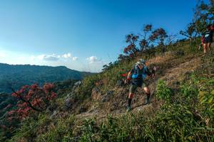 BIB: 
                            <button type="button" onclick="openModal(28099078)" class="btn btn-primary btn-sm float-right btn-popup" data-toggle="modal" data-target=".modal-high-quality">
                        <i class="fas fa-shopping-cart"></i> Add to Cart
                    </button>
                                            <button type="button" onclick="isThisMe(28099078, true)" class="btn btn-success btn-sm float-right btn-popup btn-isme hidden" data-toggle="tooltip" data-placement="bottom" title="นี่คือรูปของคุณใช่ไหม คลิกที่นี่เพื่อเอาเข้าอัลบั้ม">
                        <i class="fas fa-plus"></i> Add to album
                    </button>
                    <button type="button" onclick="isThisMe(28099078, false)" class="btn btn-warning btn-sm float-right btn-popup btn-isnotme hidden">
                        <i class="fas fa-ban"></i> Remove from album
                    </button>