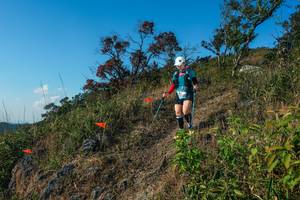 BIB: 
                            <button type="button" onclick="openModal(28098813)" class="btn btn-primary btn-sm float-right btn-popup" data-toggle="modal" data-target=".modal-high-quality">
                        <i class="fas fa-shopping-cart"></i> Add to Cart
                    </button>
                                            <button type="button" onclick="isThisMe(28098813, true)" class="btn btn-success btn-sm float-right btn-popup btn-isme hidden" data-toggle="tooltip" data-placement="bottom" title="นี่คือรูปของคุณใช่ไหม คลิกที่นี่เพื่อเอาเข้าอัลบั้ม">
                        <i class="fas fa-plus"></i> Add to album
                    </button>
                    <button type="button" onclick="isThisMe(28098813, false)" class="btn btn-warning btn-sm float-right btn-popup btn-isnotme hidden">
                        <i class="fas fa-ban"></i> Remove from album
                    </button>