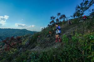 BIB: 
                            <button type="button" onclick="openModal(28098320)" class="btn btn-primary btn-sm float-right btn-popup" data-toggle="modal" data-target=".modal-high-quality">
                        <i class="fas fa-shopping-cart"></i> Add to Cart
                    </button>
                                            <button type="button" onclick="isThisMe(28098320, true)" class="btn btn-success btn-sm float-right btn-popup btn-isme hidden" data-toggle="tooltip" data-placement="bottom" title="นี่คือรูปของคุณใช่ไหม คลิกที่นี่เพื่อเอาเข้าอัลบั้ม">
                        <i class="fas fa-plus"></i> Add to album
                    </button>
                    <button type="button" onclick="isThisMe(28098320, false)" class="btn btn-warning btn-sm float-right btn-popup btn-isnotme hidden">
                        <i class="fas fa-ban"></i> Remove from album
                    </button>