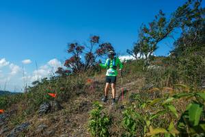 BIB: 
                            <button type="button" onclick="openModal(28097237)" class="btn btn-primary btn-sm float-right btn-popup" data-toggle="modal" data-target=".modal-high-quality">
                        <i class="fas fa-shopping-cart"></i> Add to Cart
                    </button>
                                            <button type="button" onclick="isThisMe(28097237, true)" class="btn btn-success btn-sm float-right btn-popup btn-isme hidden" data-toggle="tooltip" data-placement="bottom" title="นี่คือรูปของคุณใช่ไหม คลิกที่นี่เพื่อเอาเข้าอัลบั้ม">
                        <i class="fas fa-plus"></i> Add to album
                    </button>
                    <button type="button" onclick="isThisMe(28097237, false)" class="btn btn-warning btn-sm float-right btn-popup btn-isnotme hidden">
                        <i class="fas fa-ban"></i> Remove from album
                    </button>