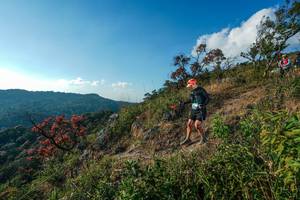 BIB: 
                            <button type="button" onclick="openModal(28099180)" class="btn btn-primary btn-sm float-right btn-popup" data-toggle="modal" data-target=".modal-high-quality">
                        <i class="fas fa-shopping-cart"></i> Add to Cart
                    </button>
                                            <button type="button" onclick="isThisMe(28099180, true)" class="btn btn-success btn-sm float-right btn-popup btn-isme hidden" data-toggle="tooltip" data-placement="bottom" title="นี่คือรูปของคุณใช่ไหม คลิกที่นี่เพื่อเอาเข้าอัลบั้ม">
                        <i class="fas fa-plus"></i> Add to album
                    </button>
                    <button type="button" onclick="isThisMe(28099180, false)" class="btn btn-warning btn-sm float-right btn-popup btn-isnotme hidden">
                        <i class="fas fa-ban"></i> Remove from album
                    </button>