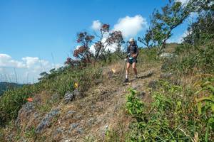 BIB: 
                            <button type="button" onclick="openModal(28096379)" class="btn btn-primary btn-sm float-right btn-popup" data-toggle="modal" data-target=".modal-high-quality">
                        <i class="fas fa-shopping-cart"></i> Add to Cart
                    </button>
                                            <button type="button" onclick="isThisMe(28096379, true)" class="btn btn-success btn-sm float-right btn-popup btn-isme hidden" data-toggle="tooltip" data-placement="bottom" title="นี่คือรูปของคุณใช่ไหม คลิกที่นี่เพื่อเอาเข้าอัลบั้ม">
                        <i class="fas fa-plus"></i> Add to album
                    </button>
                    <button type="button" onclick="isThisMe(28096379, false)" class="btn btn-warning btn-sm float-right btn-popup btn-isnotme hidden">
                        <i class="fas fa-ban"></i> Remove from album
                    </button>