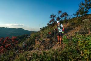 BIB: 
                            <button type="button" onclick="openModal(28099623)" class="btn btn-primary btn-sm float-right btn-popup" data-toggle="modal" data-target=".modal-high-quality">
                        <i class="fas fa-shopping-cart"></i> Add to Cart
                    </button>
                                            <button type="button" onclick="isThisMe(28099623, true)" class="btn btn-success btn-sm float-right btn-popup btn-isme hidden" data-toggle="tooltip" data-placement="bottom" title="นี่คือรูปของคุณใช่ไหม คลิกที่นี่เพื่อเอาเข้าอัลบั้ม">
                        <i class="fas fa-plus"></i> Add to album
                    </button>
                    <button type="button" onclick="isThisMe(28099623, false)" class="btn btn-warning btn-sm float-right btn-popup btn-isnotme hidden">
                        <i class="fas fa-ban"></i> Remove from album
                    </button>