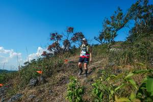 BIB: 
                            <button type="button" onclick="openModal(28097198)" class="btn btn-primary btn-sm float-right btn-popup" data-toggle="modal" data-target=".modal-high-quality">
                        <i class="fas fa-shopping-cart"></i> Add to Cart
                    </button>
                                            <button type="button" onclick="isThisMe(28097198, true)" class="btn btn-success btn-sm float-right btn-popup btn-isme hidden" data-toggle="tooltip" data-placement="bottom" title="นี่คือรูปของคุณใช่ไหม คลิกที่นี่เพื่อเอาเข้าอัลบั้ม">
                        <i class="fas fa-plus"></i> Add to album
                    </button>
                    <button type="button" onclick="isThisMe(28097198, false)" class="btn btn-warning btn-sm float-right btn-popup btn-isnotme hidden">
                        <i class="fas fa-ban"></i> Remove from album
                    </button>