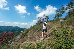 BIB: 
                            <button type="button" onclick="openModal(28096500)" class="btn btn-primary btn-sm float-right btn-popup" data-toggle="modal" data-target=".modal-high-quality">
                        <i class="fas fa-shopping-cart"></i> Add to Cart
                    </button>
                                            <button type="button" onclick="isThisMe(28096500, true)" class="btn btn-success btn-sm float-right btn-popup btn-isme hidden" data-toggle="tooltip" data-placement="bottom" title="นี่คือรูปของคุณใช่ไหม คลิกที่นี่เพื่อเอาเข้าอัลบั้ม">
                        <i class="fas fa-plus"></i> Add to album
                    </button>
                    <button type="button" onclick="isThisMe(28096500, false)" class="btn btn-warning btn-sm float-right btn-popup btn-isnotme hidden">
                        <i class="fas fa-ban"></i> Remove from album
                    </button>