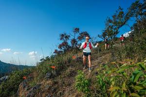 BIB: 
                            <button type="button" onclick="openModal(28099019)" class="btn btn-primary btn-sm float-right btn-popup" data-toggle="modal" data-target=".modal-high-quality">
                        <i class="fas fa-shopping-cart"></i> Add to Cart
                    </button>
                                            <button type="button" onclick="isThisMe(28099019, true)" class="btn btn-success btn-sm float-right btn-popup btn-isme hidden" data-toggle="tooltip" data-placement="bottom" title="นี่คือรูปของคุณใช่ไหม คลิกที่นี่เพื่อเอาเข้าอัลบั้ม">
                        <i class="fas fa-plus"></i> Add to album
                    </button>
                    <button type="button" onclick="isThisMe(28099019, false)" class="btn btn-warning btn-sm float-right btn-popup btn-isnotme hidden">
                        <i class="fas fa-ban"></i> Remove from album
                    </button>