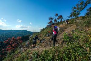 BIB: 
                            <button type="button" onclick="openModal(28098450)" class="btn btn-primary btn-sm float-right btn-popup" data-toggle="modal" data-target=".modal-high-quality">
                        <i class="fas fa-shopping-cart"></i> Add to Cart
                    </button>
                                            <button type="button" onclick="isThisMe(28098450, true)" class="btn btn-success btn-sm float-right btn-popup btn-isme hidden" data-toggle="tooltip" data-placement="bottom" title="นี่คือรูปของคุณใช่ไหม คลิกที่นี่เพื่อเอาเข้าอัลบั้ม">
                        <i class="fas fa-plus"></i> Add to album
                    </button>
                    <button type="button" onclick="isThisMe(28098450, false)" class="btn btn-warning btn-sm float-right btn-popup btn-isnotme hidden">
                        <i class="fas fa-ban"></i> Remove from album
                    </button>