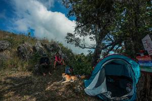 BIB: 
                            <button type="button" onclick="openModal(28095757)" class="btn btn-primary btn-sm float-right btn-popup" data-toggle="modal" data-target=".modal-high-quality">
                        <i class="fas fa-shopping-cart"></i> Add to Cart
                    </button>
                                            <button type="button" onclick="isThisMe(28095757, true)" class="btn btn-success btn-sm float-right btn-popup btn-isme hidden" data-toggle="tooltip" data-placement="bottom" title="นี่คือรูปของคุณใช่ไหม คลิกที่นี่เพื่อเอาเข้าอัลบั้ม">
                        <i class="fas fa-plus"></i> Add to album
                    </button>
                    <button type="button" onclick="isThisMe(28095757, false)" class="btn btn-warning btn-sm float-right btn-popup btn-isnotme hidden">
                        <i class="fas fa-ban"></i> Remove from album
                    </button>