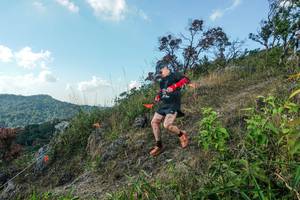 BIB: 
                            <button type="button" onclick="openModal(28097860)" class="btn btn-primary btn-sm float-right btn-popup" data-toggle="modal" data-target=".modal-high-quality">
                        <i class="fas fa-shopping-cart"></i> Add to Cart
                    </button>
                                            <button type="button" onclick="isThisMe(28097860, true)" class="btn btn-success btn-sm float-right btn-popup btn-isme hidden" data-toggle="tooltip" data-placement="bottom" title="นี่คือรูปของคุณใช่ไหม คลิกที่นี่เพื่อเอาเข้าอัลบั้ม">
                        <i class="fas fa-plus"></i> Add to album
                    </button>
                    <button type="button" onclick="isThisMe(28097860, false)" class="btn btn-warning btn-sm float-right btn-popup btn-isnotme hidden">
                        <i class="fas fa-ban"></i> Remove from album
                    </button>