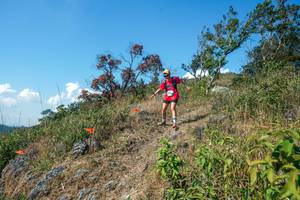 BIB: 
                            <button type="button" onclick="openModal(28096932)" class="btn btn-primary btn-sm float-right btn-popup" data-toggle="modal" data-target=".modal-high-quality">
                        <i class="fas fa-shopping-cart"></i> Add to Cart
                    </button>
                                            <button type="button" onclick="isThisMe(28096932, true)" class="btn btn-success btn-sm float-right btn-popup btn-isme hidden" data-toggle="tooltip" data-placement="bottom" title="นี่คือรูปของคุณใช่ไหม คลิกที่นี่เพื่อเอาเข้าอัลบั้ม">
                        <i class="fas fa-plus"></i> Add to album
                    </button>
                    <button type="button" onclick="isThisMe(28096932, false)" class="btn btn-warning btn-sm float-right btn-popup btn-isnotme hidden">
                        <i class="fas fa-ban"></i> Remove from album
                    </button>