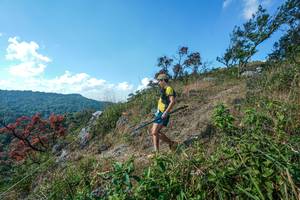 BIB: 
                            <button type="button" onclick="openModal(28096801)" class="btn btn-primary btn-sm float-right btn-popup" data-toggle="modal" data-target=".modal-high-quality">
                        <i class="fas fa-shopping-cart"></i> Add to Cart
                    </button>
                                            <button type="button" onclick="isThisMe(28096801, true)" class="btn btn-success btn-sm float-right btn-popup btn-isme hidden" data-toggle="tooltip" data-placement="bottom" title="นี่คือรูปของคุณใช่ไหม คลิกที่นี่เพื่อเอาเข้าอัลบั้ม">
                        <i class="fas fa-plus"></i> Add to album
                    </button>
                    <button type="button" onclick="isThisMe(28096801, false)" class="btn btn-warning btn-sm float-right btn-popup btn-isnotme hidden">
                        <i class="fas fa-ban"></i> Remove from album
                    </button>