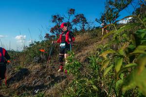 BIB: 
                            <button type="button" onclick="openModal(28099038)" class="btn btn-primary btn-sm float-right btn-popup" data-toggle="modal" data-target=".modal-high-quality">
                        <i class="fas fa-shopping-cart"></i> Add to Cart
                    </button>
                                            <button type="button" onclick="isThisMe(28099038, true)" class="btn btn-success btn-sm float-right btn-popup btn-isme hidden" data-toggle="tooltip" data-placement="bottom" title="นี่คือรูปของคุณใช่ไหม คลิกที่นี่เพื่อเอาเข้าอัลบั้ม">
                        <i class="fas fa-plus"></i> Add to album
                    </button>
                    <button type="button" onclick="isThisMe(28099038, false)" class="btn btn-warning btn-sm float-right btn-popup btn-isnotme hidden">
                        <i class="fas fa-ban"></i> Remove from album
                    </button>