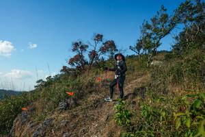 BIB: 
                            <button type="button" onclick="openModal(28097689)" class="btn btn-primary btn-sm float-right btn-popup" data-toggle="modal" data-target=".modal-high-quality">
                        <i class="fas fa-shopping-cart"></i> Add to Cart
                    </button>
                                            <button type="button" onclick="isThisMe(28097689, true)" class="btn btn-success btn-sm float-right btn-popup btn-isme hidden" data-toggle="tooltip" data-placement="bottom" title="นี่คือรูปของคุณใช่ไหม คลิกที่นี่เพื่อเอาเข้าอัลบั้ม">
                        <i class="fas fa-plus"></i> Add to album
                    </button>
                    <button type="button" onclick="isThisMe(28097689, false)" class="btn btn-warning btn-sm float-right btn-popup btn-isnotme hidden">
                        <i class="fas fa-ban"></i> Remove from album
                    </button>