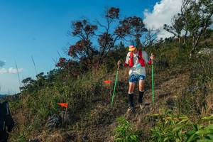 BIB: 
                            <button type="button" onclick="openModal(28099129)" class="btn btn-primary btn-sm float-right btn-popup" data-toggle="modal" data-target=".modal-high-quality">
                        <i class="fas fa-shopping-cart"></i> Add to Cart
                    </button>
                                            <button type="button" onclick="isThisMe(28099129, true)" class="btn btn-success btn-sm float-right btn-popup btn-isme hidden" data-toggle="tooltip" data-placement="bottom" title="นี่คือรูปของคุณใช่ไหม คลิกที่นี่เพื่อเอาเข้าอัลบั้ม">
                        <i class="fas fa-plus"></i> Add to album
                    </button>
                    <button type="button" onclick="isThisMe(28099129, false)" class="btn btn-warning btn-sm float-right btn-popup btn-isnotme hidden">
                        <i class="fas fa-ban"></i> Remove from album
                    </button>