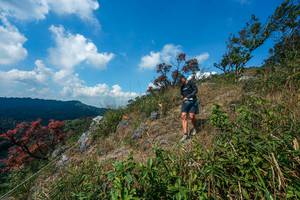 BIB: 
                            <button type="button" onclick="openModal(28096089)" class="btn btn-primary btn-sm float-right btn-popup" data-toggle="modal" data-target=".modal-high-quality">
                        <i class="fas fa-shopping-cart"></i> Add to Cart
                    </button>
                                            <button type="button" onclick="isThisMe(28096089, true)" class="btn btn-success btn-sm float-right btn-popup btn-isme hidden" data-toggle="tooltip" data-placement="bottom" title="นี่คือรูปของคุณใช่ไหม คลิกที่นี่เพื่อเอาเข้าอัลบั้ม">
                        <i class="fas fa-plus"></i> Add to album
                    </button>
                    <button type="button" onclick="isThisMe(28096089, false)" class="btn btn-warning btn-sm float-right btn-popup btn-isnotme hidden">
                        <i class="fas fa-ban"></i> Remove from album
                    </button>