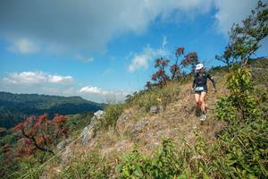 BIB: 
                            <button type="button" onclick="openModal(28095815)" class="btn btn-primary btn-sm float-right btn-popup" data-toggle="modal" data-target=".modal-high-quality">
                        <i class="fas fa-shopping-cart"></i> Add to Cart
                    </button>
                                            <button type="button" onclick="isThisMe(28095815, true)" class="btn btn-success btn-sm float-right btn-popup btn-isme hidden" data-toggle="tooltip" data-placement="bottom" title="นี่คือรูปของคุณใช่ไหม คลิกที่นี่เพื่อเอาเข้าอัลบั้ม">
                        <i class="fas fa-plus"></i> Add to album
                    </button>
                    <button type="button" onclick="isThisMe(28095815, false)" class="btn btn-warning btn-sm float-right btn-popup btn-isnotme hidden">
                        <i class="fas fa-ban"></i> Remove from album
                    </button>