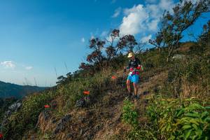 BIB: 
                            <button type="button" onclick="openModal(28099305)" class="btn btn-primary btn-sm float-right btn-popup" data-toggle="modal" data-target=".modal-high-quality">
                        <i class="fas fa-shopping-cart"></i> Add to Cart
                    </button>
                                            <button type="button" onclick="isThisMe(28099305, true)" class="btn btn-success btn-sm float-right btn-popup btn-isme hidden" data-toggle="tooltip" data-placement="bottom" title="นี่คือรูปของคุณใช่ไหม คลิกที่นี่เพื่อเอาเข้าอัลบั้ม">
                        <i class="fas fa-plus"></i> Add to album
                    </button>
                    <button type="button" onclick="isThisMe(28099305, false)" class="btn btn-warning btn-sm float-right btn-popup btn-isnotme hidden">
                        <i class="fas fa-ban"></i> Remove from album
                    </button>