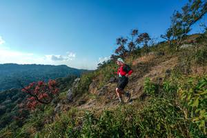 BIB: 
                            <button type="button" onclick="openModal(28098735)" class="btn btn-primary btn-sm float-right btn-popup" data-toggle="modal" data-target=".modal-high-quality">
                        <i class="fas fa-shopping-cart"></i> Add to Cart
                    </button>
                                            <button type="button" onclick="isThisMe(28098735, true)" class="btn btn-success btn-sm float-right btn-popup btn-isme hidden" data-toggle="tooltip" data-placement="bottom" title="นี่คือรูปของคุณใช่ไหม คลิกที่นี่เพื่อเอาเข้าอัลบั้ม">
                        <i class="fas fa-plus"></i> Add to album
                    </button>
                    <button type="button" onclick="isThisMe(28098735, false)" class="btn btn-warning btn-sm float-right btn-popup btn-isnotme hidden">
                        <i class="fas fa-ban"></i> Remove from album
                    </button>