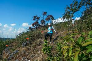 BIB: 
                            <button type="button" onclick="openModal(28097263)" class="btn btn-primary btn-sm float-right btn-popup" data-toggle="modal" data-target=".modal-high-quality">
                        <i class="fas fa-shopping-cart"></i> Add to Cart
                    </button>
                                            <button type="button" onclick="isThisMe(28097263, true)" class="btn btn-success btn-sm float-right btn-popup btn-isme hidden" data-toggle="tooltip" data-placement="bottom" title="นี่คือรูปของคุณใช่ไหม คลิกที่นี่เพื่อเอาเข้าอัลบั้ม">
                        <i class="fas fa-plus"></i> Add to album
                    </button>
                    <button type="button" onclick="isThisMe(28097263, false)" class="btn btn-warning btn-sm float-right btn-popup btn-isnotme hidden">
                        <i class="fas fa-ban"></i> Remove from album
                    </button>