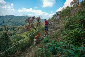 BIB: 
                            <button type="button" onclick="openModal(28095925)" class="btn btn-primary btn-sm float-right btn-popup" data-toggle="modal" data-target=".modal-high-quality">
                        <i class="fas fa-shopping-cart"></i> Add to Cart
                    </button>
                                            <button type="button" onclick="isThisMe(28095925, true)" class="btn btn-success btn-sm float-right btn-popup btn-isme hidden" data-toggle="tooltip" data-placement="bottom" title="นี่คือรูปของคุณใช่ไหม คลิกที่นี่เพื่อเอาเข้าอัลบั้ม">
                        <i class="fas fa-plus"></i> Add to album
                    </button>
                    <button type="button" onclick="isThisMe(28095925, false)" class="btn btn-warning btn-sm float-right btn-popup btn-isnotme hidden">
                        <i class="fas fa-ban"></i> Remove from album
                    </button>