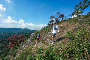 BIB: 
                            <button type="button" onclick="openModal(28096321)" class="btn btn-primary btn-sm float-right btn-popup" data-toggle="modal" data-target=".modal-high-quality">
                        <i class="fas fa-shopping-cart"></i> Add to Cart
                    </button>
                                            <button type="button" onclick="isThisMe(28096321, true)" class="btn btn-success btn-sm float-right btn-popup btn-isme hidden" data-toggle="tooltip" data-placement="bottom" title="นี่คือรูปของคุณใช่ไหม คลิกที่นี่เพื่อเอาเข้าอัลบั้ม">
                        <i class="fas fa-plus"></i> Add to album
                    </button>
                    <button type="button" onclick="isThisMe(28096321, false)" class="btn btn-warning btn-sm float-right btn-popup btn-isnotme hidden">
                        <i class="fas fa-ban"></i> Remove from album
                    </button>