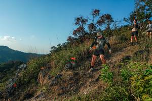 BIB: 
                            <button type="button" onclick="openModal(28099456)" class="btn btn-primary btn-sm float-right btn-popup" data-toggle="modal" data-target=".modal-high-quality">
                        <i class="fas fa-shopping-cart"></i> Add to Cart
                    </button>
                                            <button type="button" onclick="isThisMe(28099456, true)" class="btn btn-success btn-sm float-right btn-popup btn-isme hidden" data-toggle="tooltip" data-placement="bottom" title="นี่คือรูปของคุณใช่ไหม คลิกที่นี่เพื่อเอาเข้าอัลบั้ม">
                        <i class="fas fa-plus"></i> Add to album
                    </button>
                    <button type="button" onclick="isThisMe(28099456, false)" class="btn btn-warning btn-sm float-right btn-popup btn-isnotme hidden">
                        <i class="fas fa-ban"></i> Remove from album
                    </button>