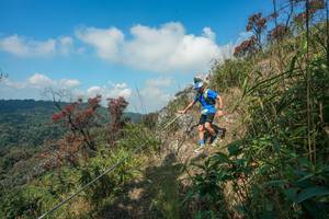 BIB: 
                            <button type="button" onclick="openModal(28095768)" class="btn btn-primary btn-sm float-right btn-popup" data-toggle="modal" data-target=".modal-high-quality">
                        <i class="fas fa-shopping-cart"></i> Add to Cart
                    </button>
                                            <button type="button" onclick="isThisMe(28095768, true)" class="btn btn-success btn-sm float-right btn-popup btn-isme hidden" data-toggle="tooltip" data-placement="bottom" title="นี่คือรูปของคุณใช่ไหม คลิกที่นี่เพื่อเอาเข้าอัลบั้ม">
                        <i class="fas fa-plus"></i> Add to album
                    </button>
                    <button type="button" onclick="isThisMe(28095768, false)" class="btn btn-warning btn-sm float-right btn-popup btn-isnotme hidden">
                        <i class="fas fa-ban"></i> Remove from album
                    </button>